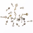 Dekoratyviniai puošybos elementai "Rakteliai 2" (100 vnt.