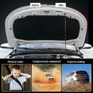 Automobilio sandarinimo juostos "Renova Protector 3" (durelės