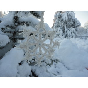 Ryto snaigė, 12,5 cm